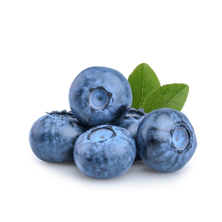 Blueberries - Premium - Large