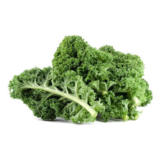 Kale - Large Bunch