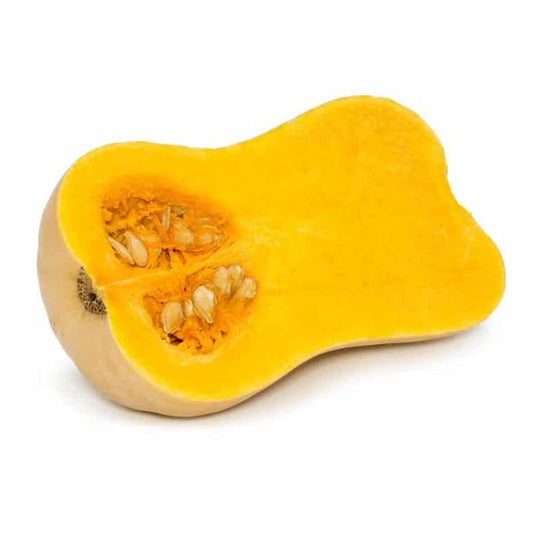 Pumpkin - Butternut - 1pc - Large